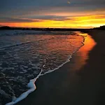 Au Clair De Frontignan