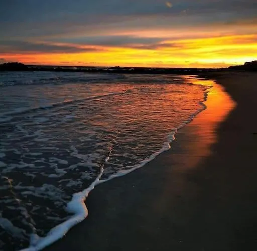 Au Clair De Frontignan