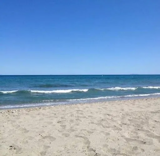 Au Clair De * Frontignan